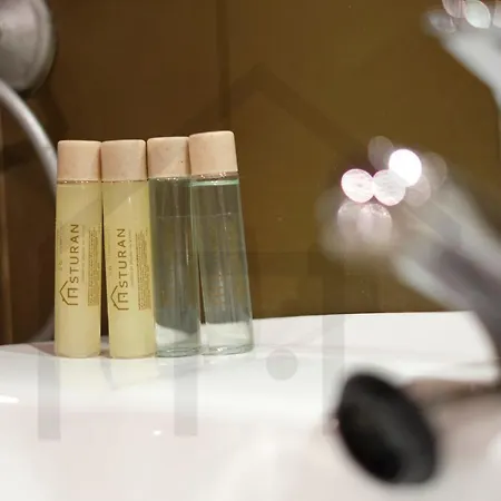 Apartmán El Rincon Del Campoamor - Piso Centrico En Oviedo. *